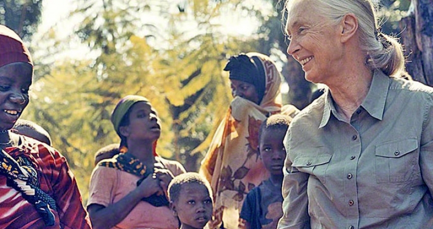 500 cellulari usati per The Jane Goodall Institute!