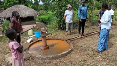 Acqua pulita per Wabo